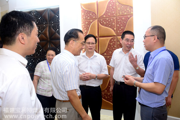 在闽全国人大代表调研组莅临福建宝利特