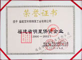 Fujian Star Foreign Enterprise(2000-2002)