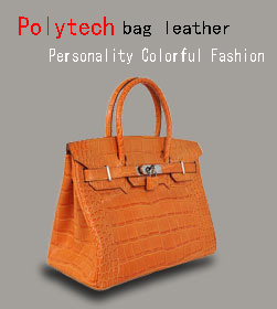 Polytech bag leather Personality Colorful Fashion